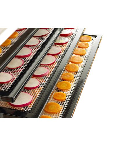 Zanahorias con el Deshidratador Excalibur 4 Bandejas