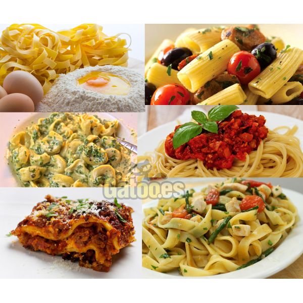 Máquina de pasta eléctrica