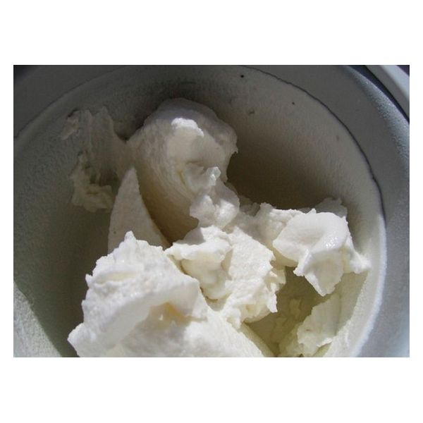 Helado hecho en Heladera de 1 Litro. De Clatronic