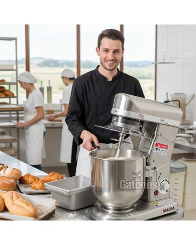 Amasadora Profesional de 10 litros Malka - Panadería